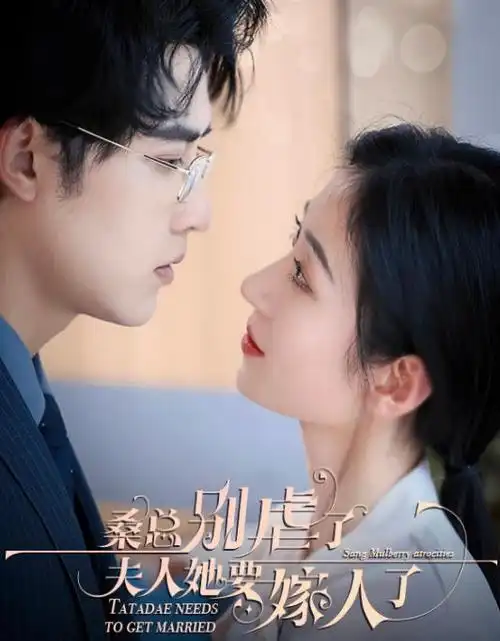双城律师热播电视剧全集